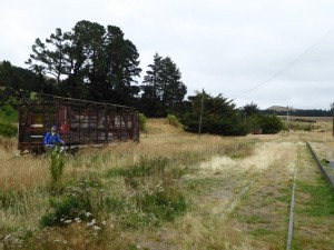 Hyde, Central Otago Rail Trail