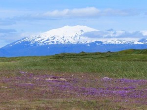 Snaefellsjökull     