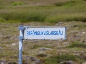 Icelandic for beginners       