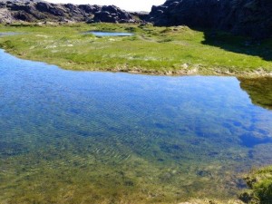 Crystal clear water, Tjarnargigur  