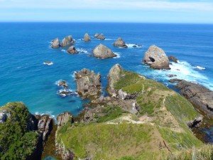 Nugget Point    