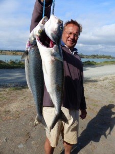 Catch of the Day: 2 Kahawai, Wairau River     