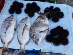 Fish Market, Sidi Ifni