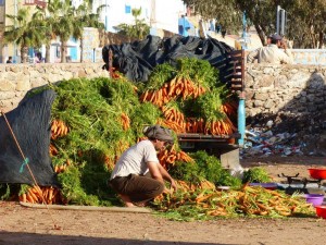Market, Sidi Ifni