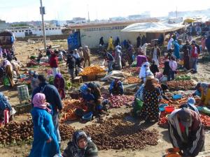 Market Day in Moulay Abellah